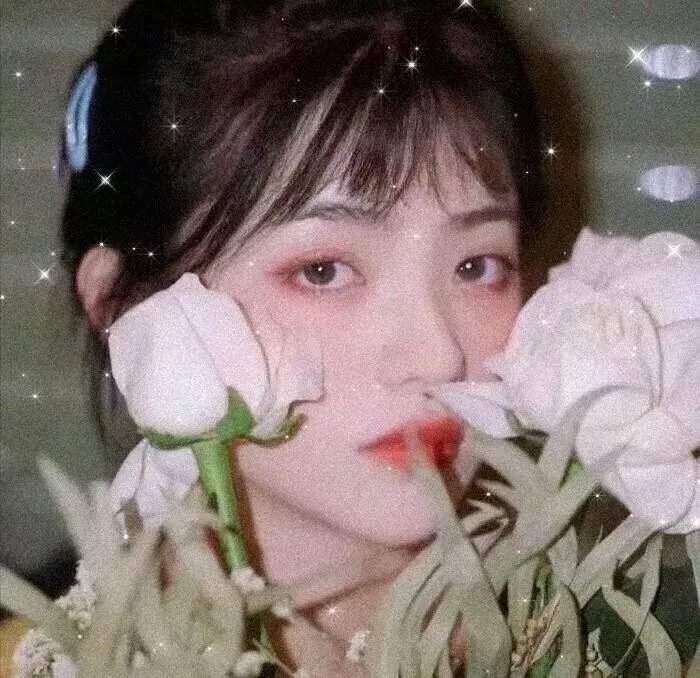 蒂蒂日记